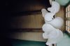 Photographe mariage Landes et Pays Basques, Aquitaine